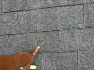 Inspecting-for-hail-damage-on-asphalt-shingles-in-River-Mountain-Rd-Wimberley-TX-78676-by-Legacy-Roofing-Pros