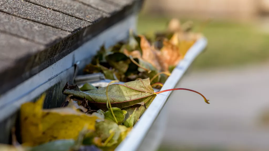 Close-up view of gutters clogged with leaves