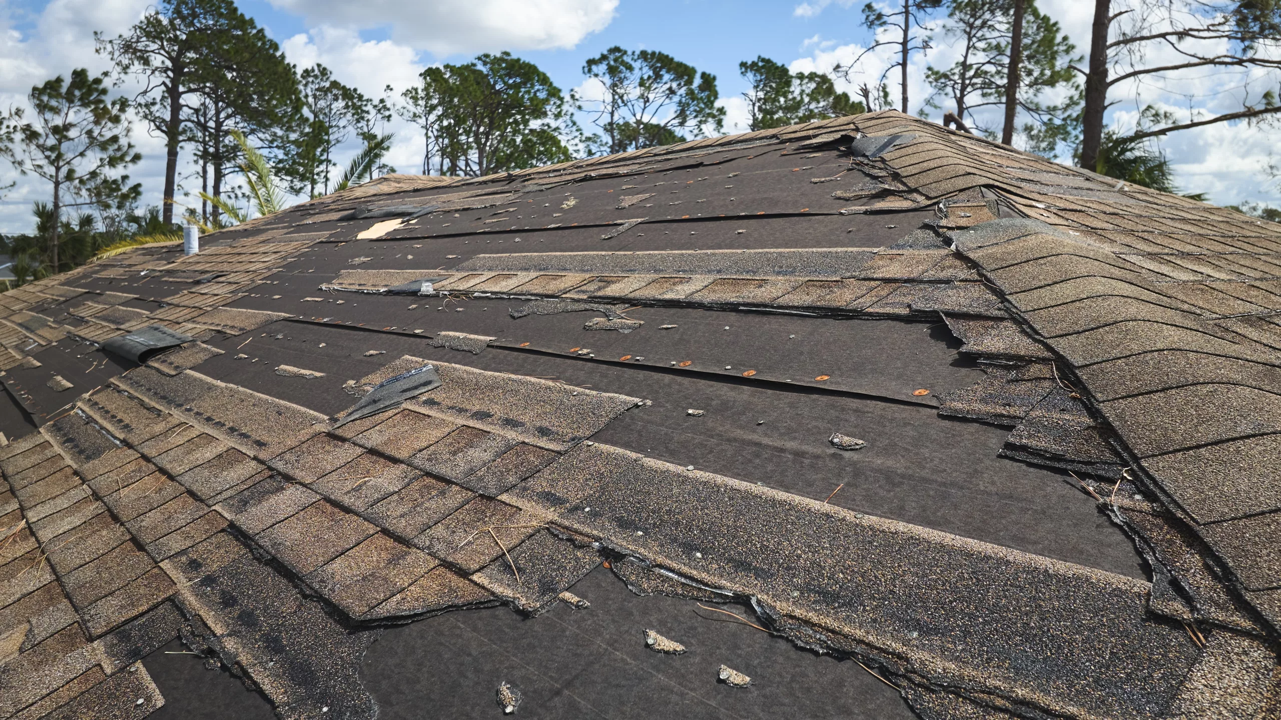 Beautifully kept dark asphalt shingle roof on a home with blue-gray siding
