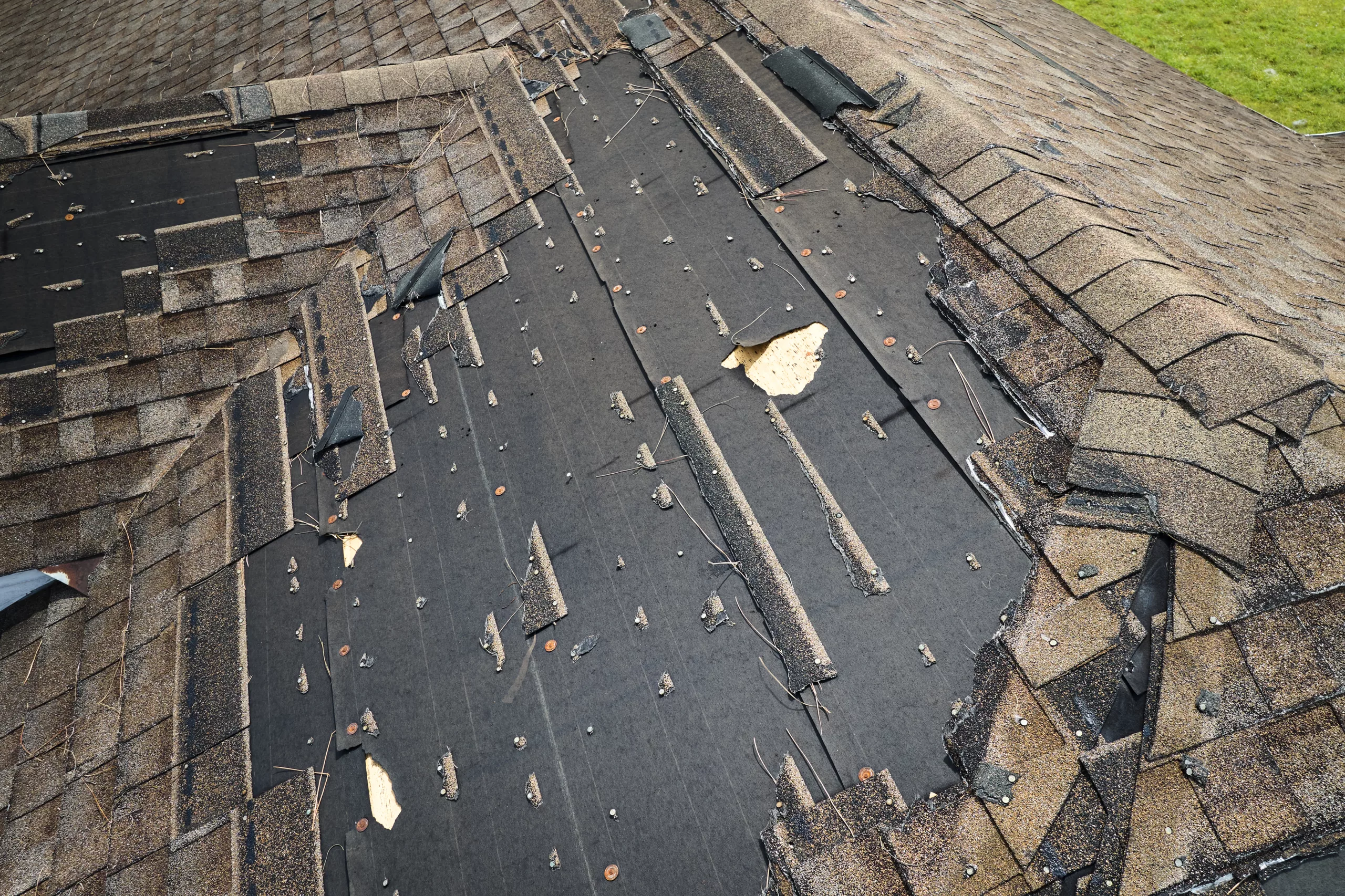 This photo shows damaged asphalt shingles.