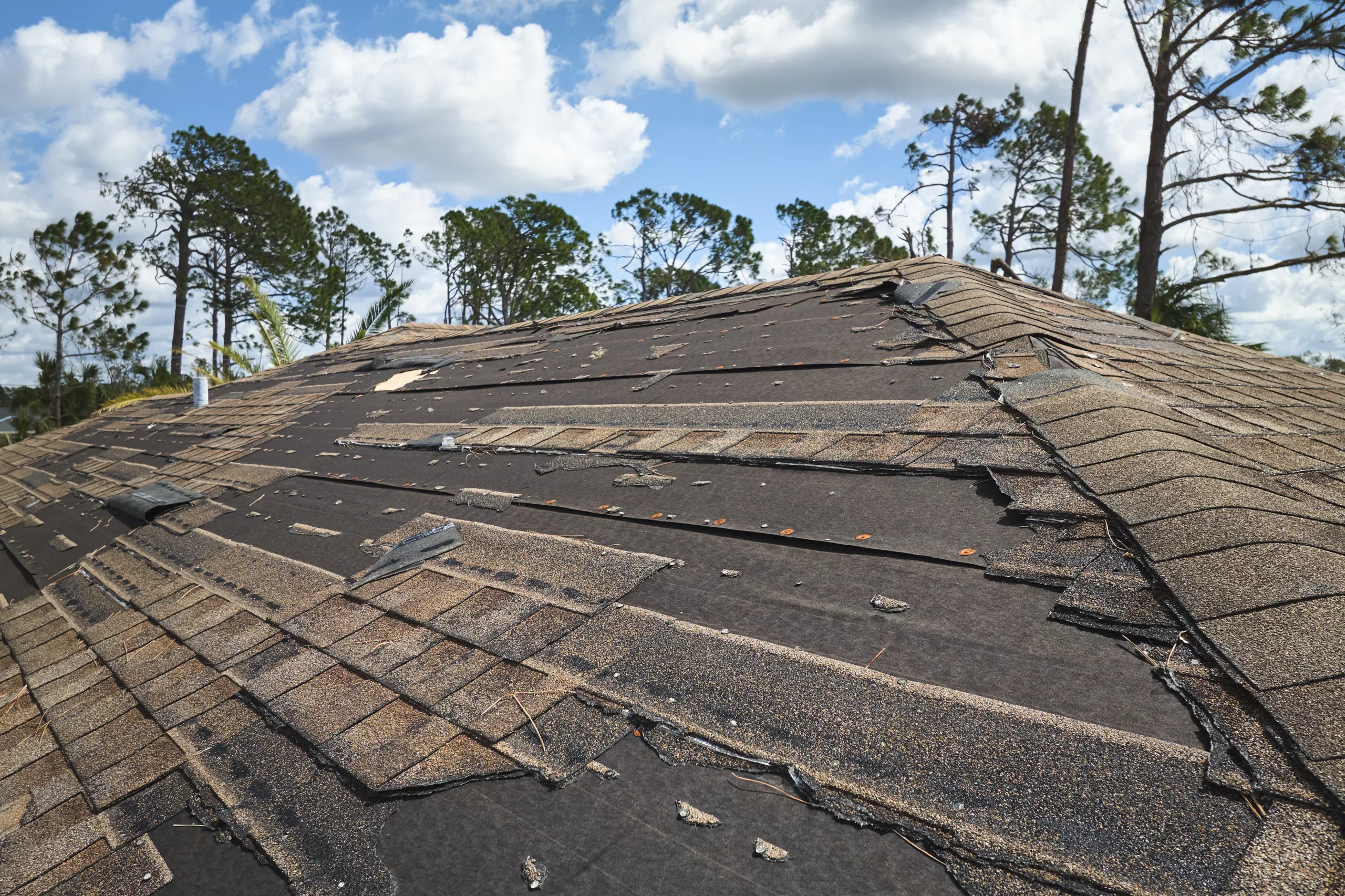 The image features a homeowner happy on the phone with the insurance company.