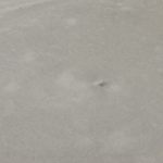 Close-up of a hail bruise on a commercial flat roof membrane showing subtle impact damage and surface deformation