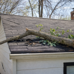 Tree branch fallen on roof causing damage and active leak requiring temporary roof patching