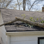 Tree branch fallen on roof causing damage and active leak requiring temporary roof patching