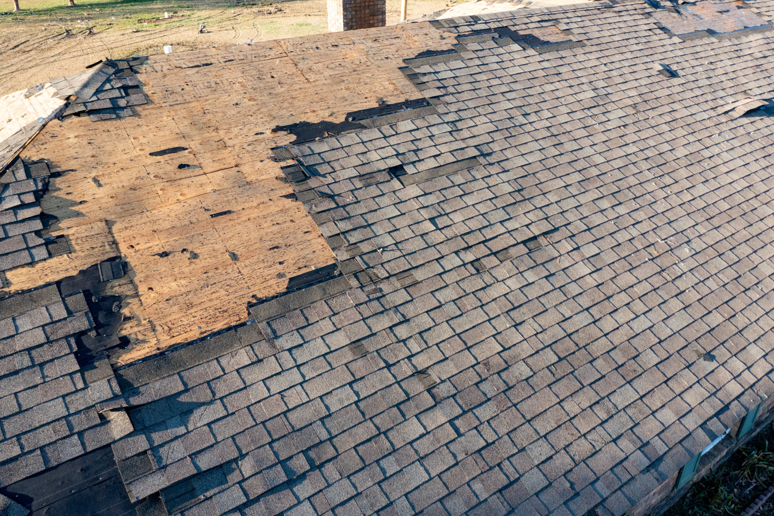 Tan asphalt shingle roof with many shingles ripped off from high winds