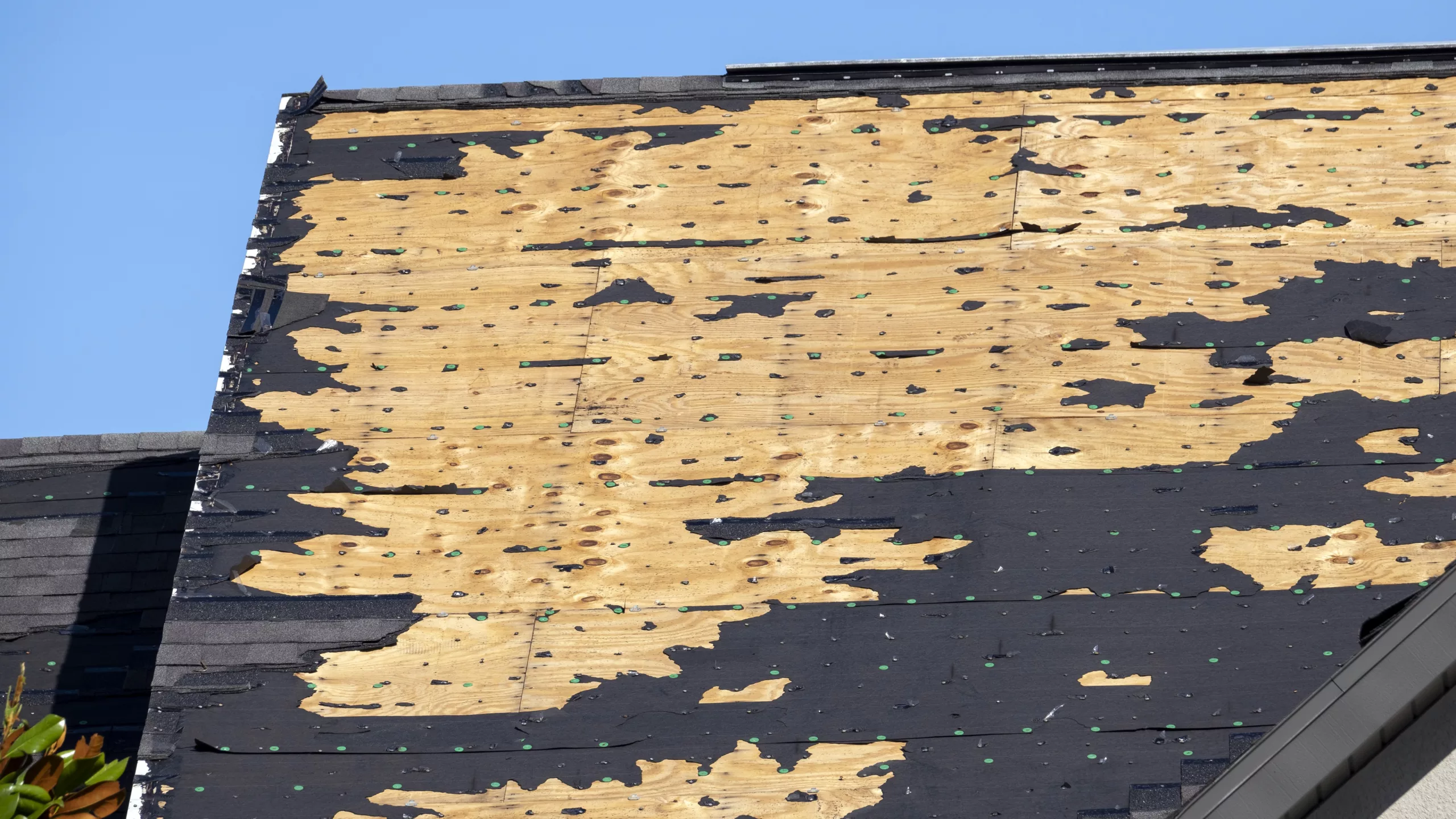 Tattered asphalt shingle roof on top of a wooden home roof underlayment