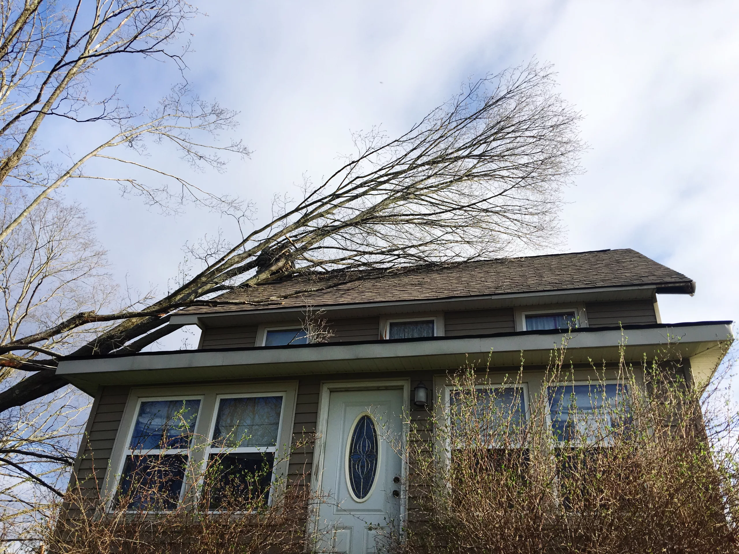 This photo shows a fallen tree lying on a roof after a severe storm.