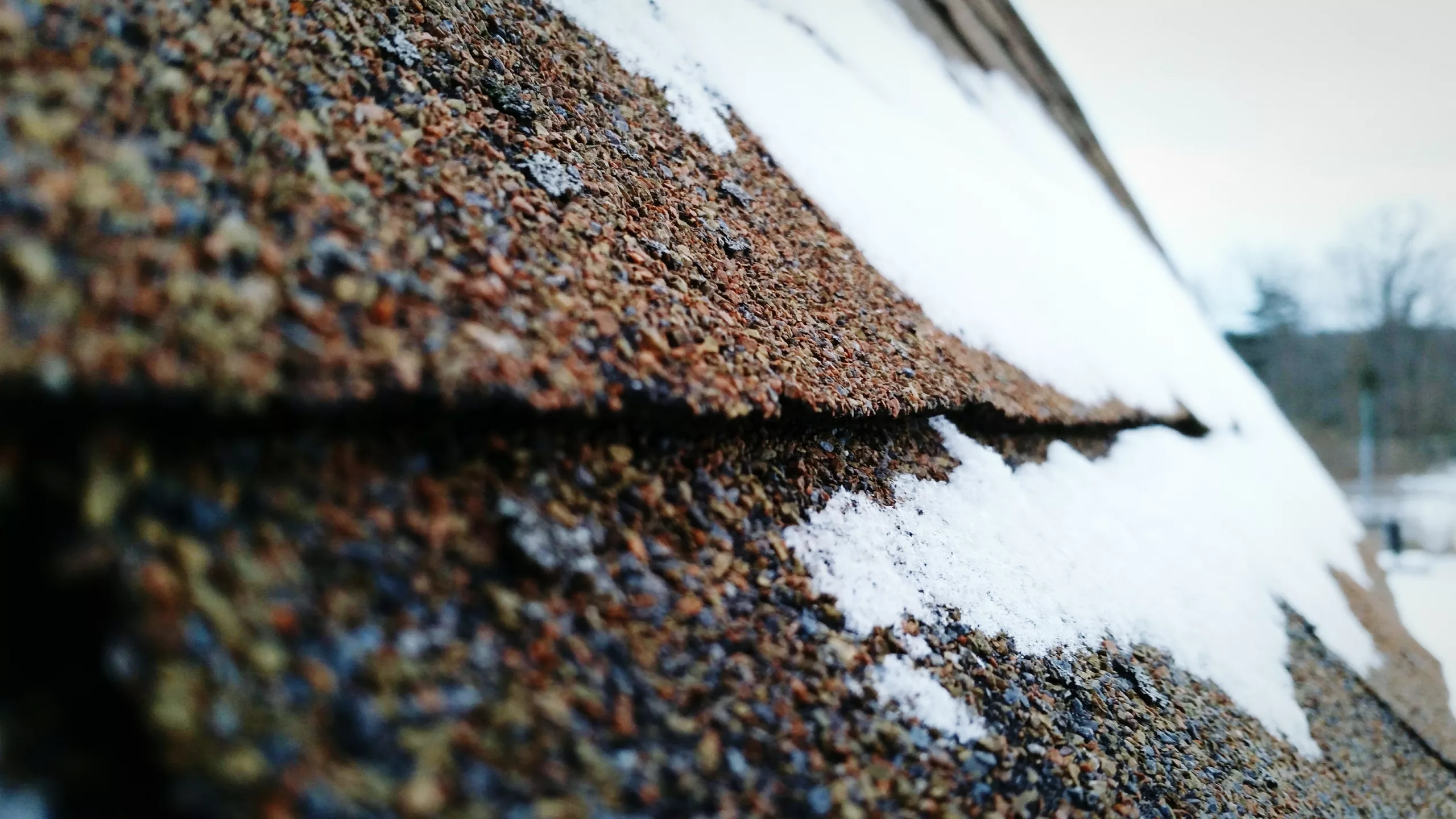 Close-up of asphalt roofing with snow on it